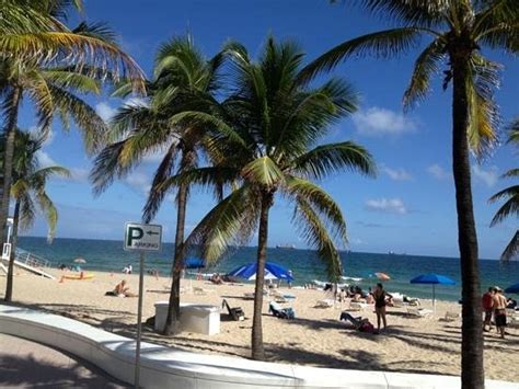 Spring Break mayhem... - Las Olas Beach, Fort Lauderdale Traveller ...