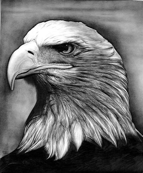 40 Realistic Animal Pencil Drawings - Bored Art