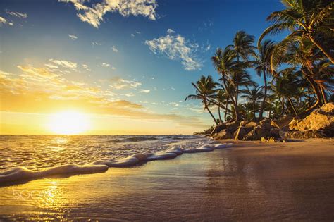 Landscape of paradise tropical island beach, sunrise shot - Palm trees ...