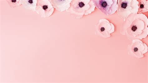 Girly Backgrounds For Zoom Contact us to publish a zoom background on ...