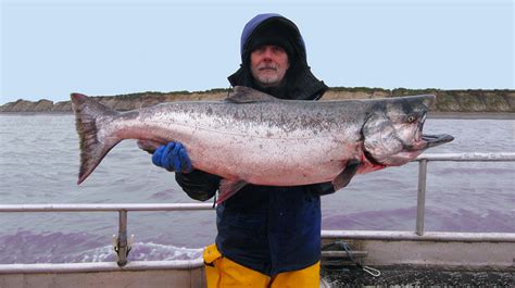 Sustainable Seafood - Wild Alaska Salmon & Seafood