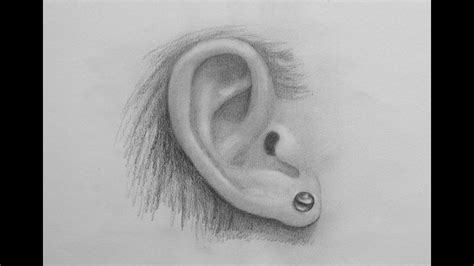 How to Draw a Realistic Ear - YouTube