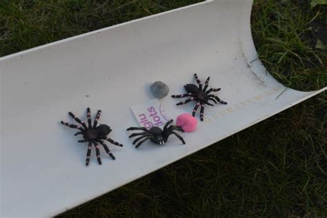 Incy Wincy Spider Activities Crafts For Seniors - lastnumber