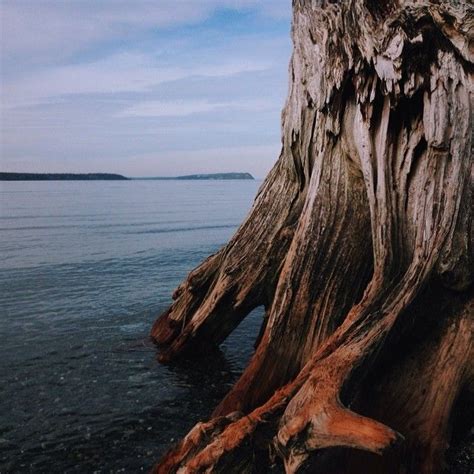 mukilteo beach | Mukilteo beach, Mukilteo, Beach