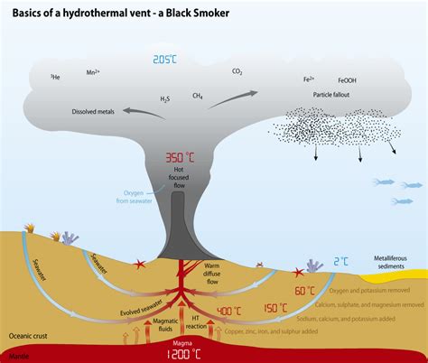 Hydrothermal Vent Diagram