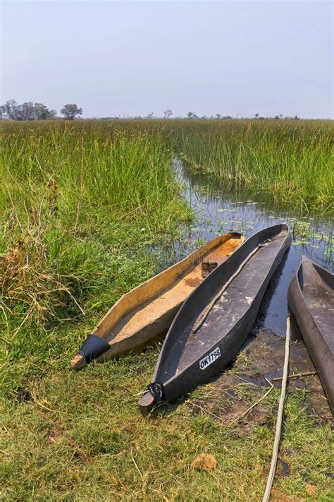 Mokoro, Okavango Delta, Botswana Stock Photo - Image of natural ...