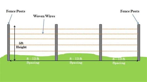 How Far Apart Should Fence Posts Be?