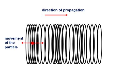 Longitudinal Wave | Definition, Parts & Examples - Video & Lesson ...