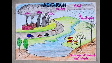 Acid Rain Drawings