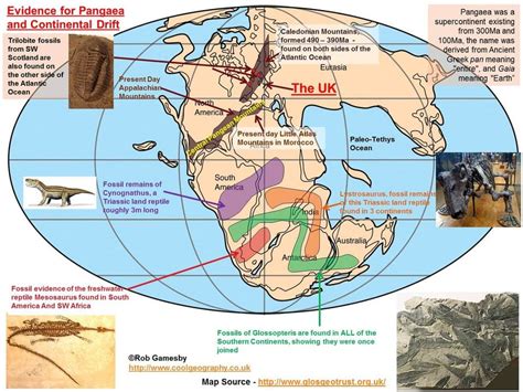 Fossil evidence supporting Pangaea (not just Laurasia) and, by ...