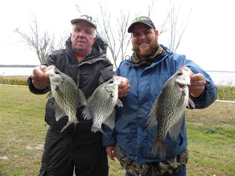 Crappie.com - Harris Chain of Lakes Results~1/13/2018