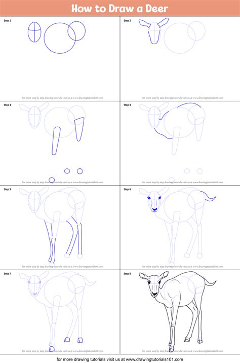 How to Draw a Deer printable step by step drawing sheet ...