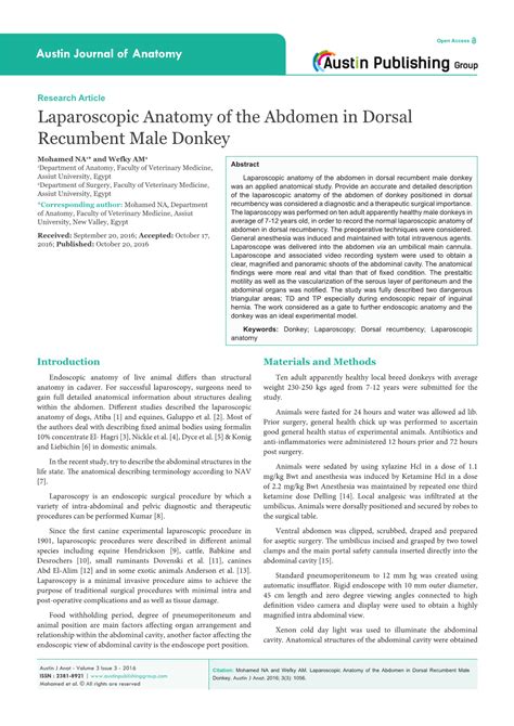 Laparoscopic Anatomy of the Abdomen in Dorsal Recumbent Male Donkey ...