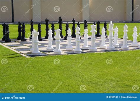 Lawn Chess Set stock photo. Image of piece, huge, isolated - 2260940