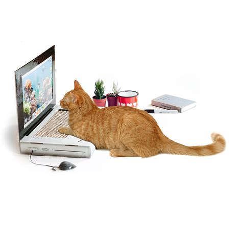 Laptop Cat Scratching Pad | scratching post, cat toys | UncommonGoods