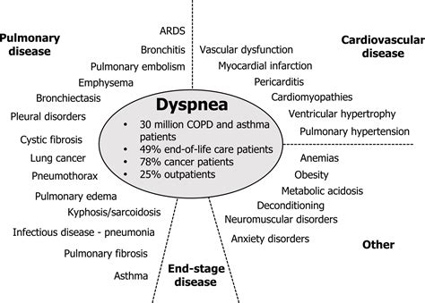 Dyspnea – Pulmonary Physiology for Pre-Clinical Students