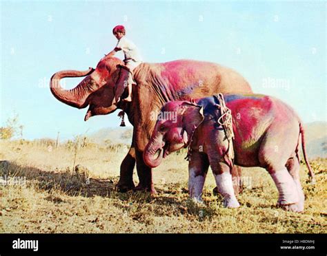 MAYA, Sajid Khan, 1966 Stock Photo - Alamy