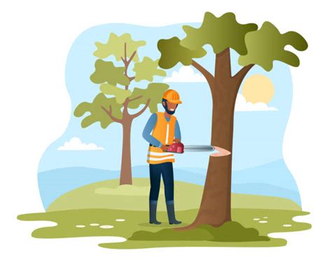 People Cutting Down Trees Drawings Illustrations, Royalty-Free Vector ...