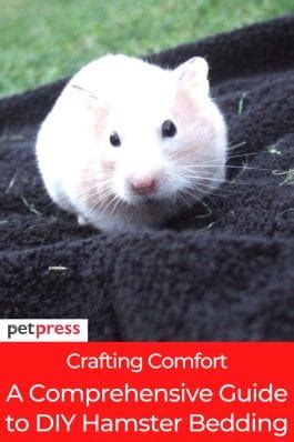 Crafting Comfort: A Comprehensive Guide to DIY Hamster Bedding