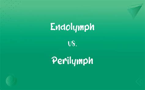 Endolymph vs. Perilymph: What’s the Difference?