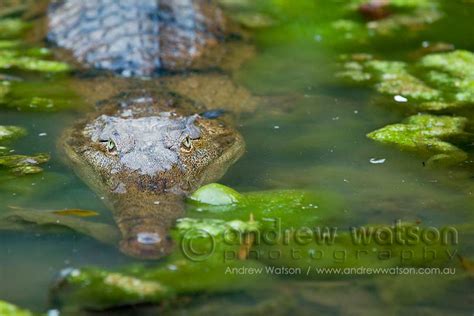 Andrew Watson Photography | The Kimberley