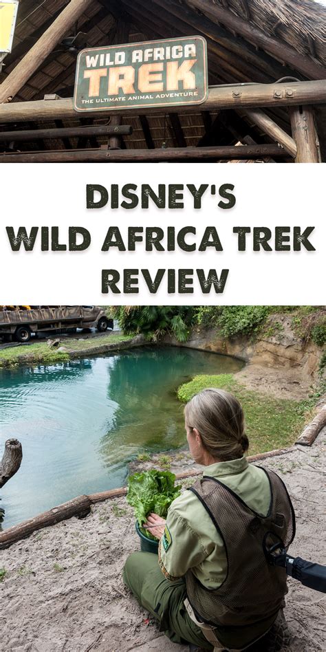 Disney's Wild Africa Trek Review - Thyme & Love