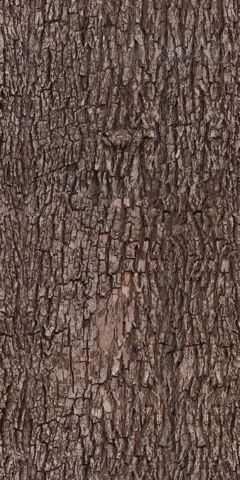 Tree bark - texture, pattern by ivangraphics on DeviantArt | Tree bark ...