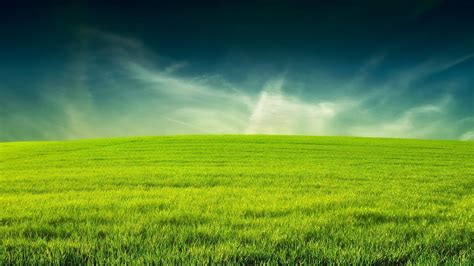 Grass Wallpapers on WallpaperDog