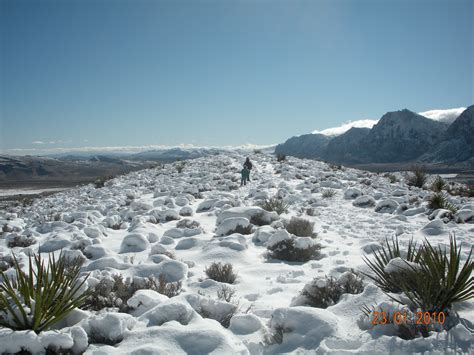 Mojave Desert Climate