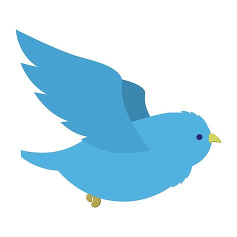 Bluebird Cartoon Clipart