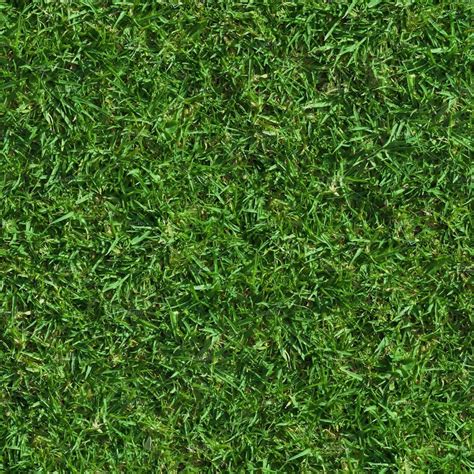 Lush Seamless Grass Texture | Grass textures, Grass texture seamless ...