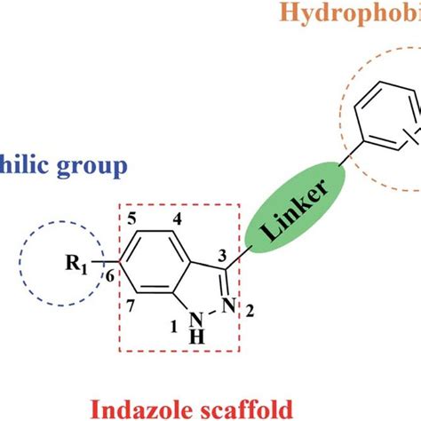 Structure of our indazole derivatives. | Download Scientific Diagram