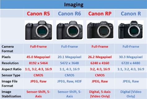 Canon Mirrorless Cameras Compared - Ehab Photography