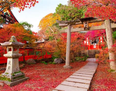 Fall Foliage in Tokyo | Arigato Travel