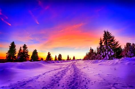 Winter Sunset Serenity: A Stunning HD Wallpaper