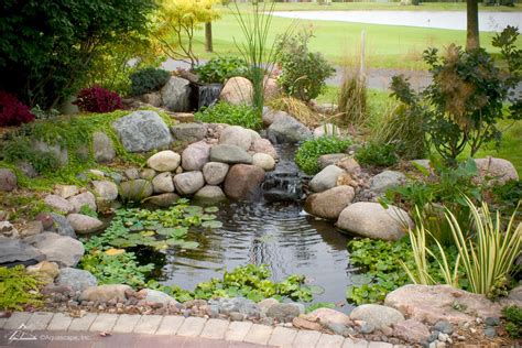 Garden Pond Guide - Aquatics World