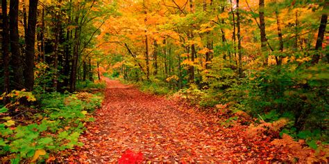 Michigan State Parks Offer 70 Fall Festivals