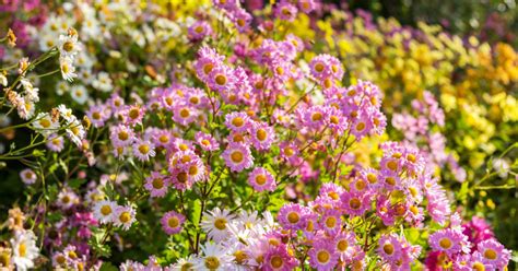 Official Tour: Conservatory Garden Tour | Central Park Conservancy