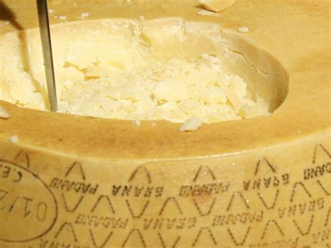 What Is Grana Padano? What Does Grana Padano Cheese Taste Like?