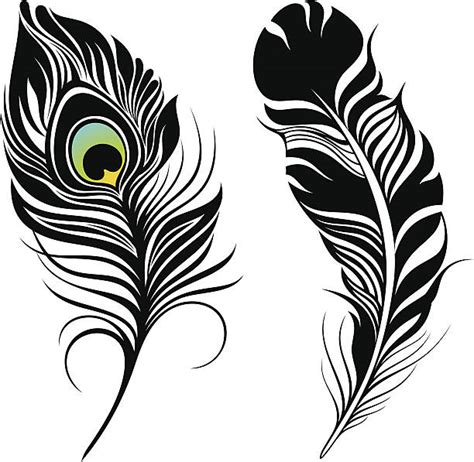 Peacock Feathers Illustrations, Royalty-Free Vector Graphics & Clip Art ...