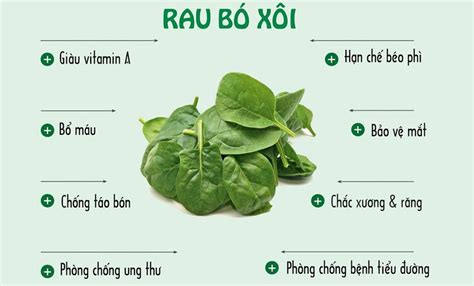 Dưỡng sinh, Thuốc và Y học: Rau bina là rau gì? Có tác dụng gì?