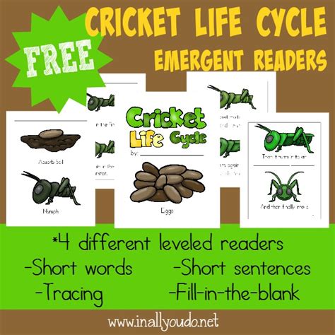 FREE Cricket Life Cycle Emergent Readers - Blessed Beyond A Doubt