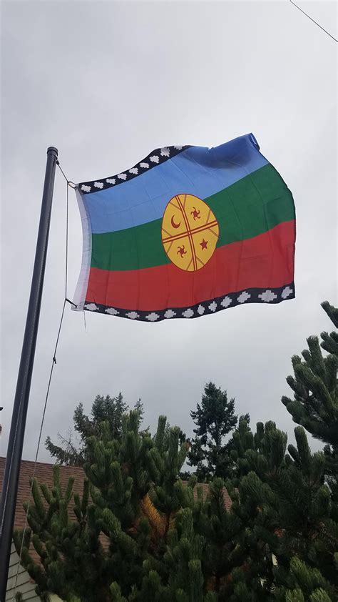 Mapuche flag raised for November : r/vexillology