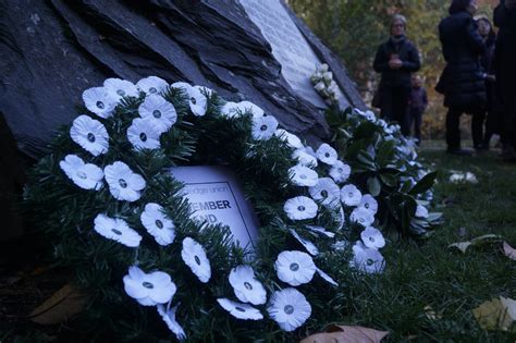 White poppies to feature in Remembrance Sunday ceremonies | Peace ...