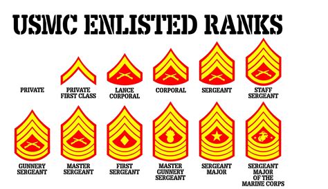 Large Usmc Enlisted Rank Chart 3 Color Vinyl Wall Decal Free Etsy ...