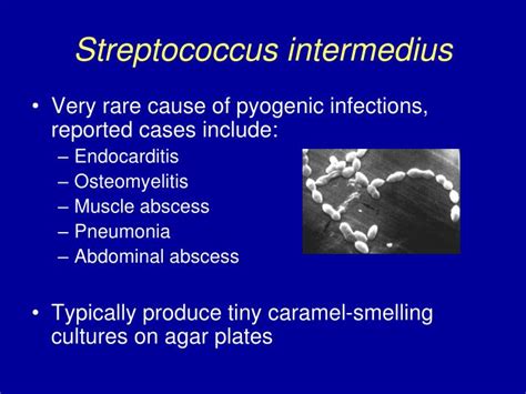 PPT - STREPTOCOCCUS INTERMEDIUS VERTEBRAL OSTEOMYELITIS AND ...