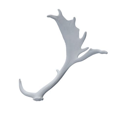 Fallow deer antlers 8 – BlenderBoom