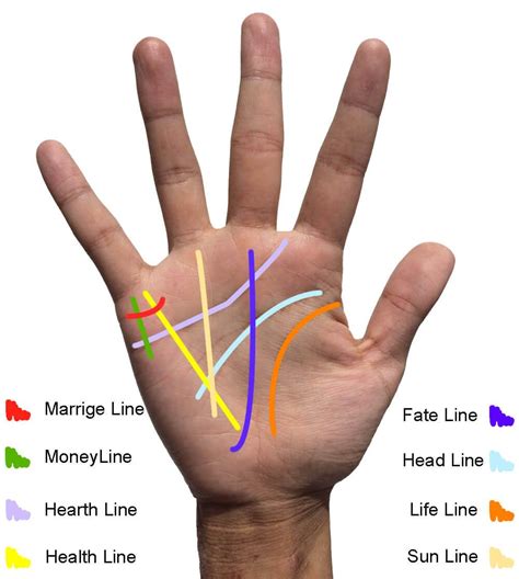 Palm Reading Life Line | Palm reading, Palm reading lines, Palm reading ...