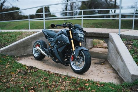 My Grom! : r/motorcycle