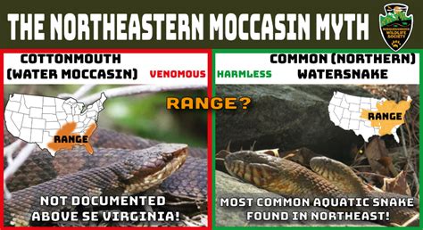 The Northeastern Moccasin Myth - Susquehannock Wildlife Society